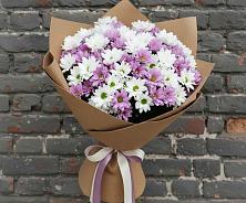 Букет цветов из:  Хризантемы #REPLACE_PRED# Суворове