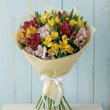 Букет цветов из:  Альстромерии #REPLACE_PRED# Суворове
