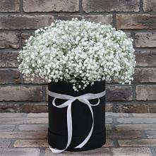 Цветочная композиция из Гипсофила в шляпной коробке #REPLACE_PRED# Суворове