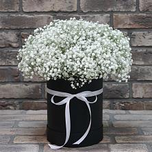 Цветочная композиция из Гипсофила в шляпной коробке в Суворове