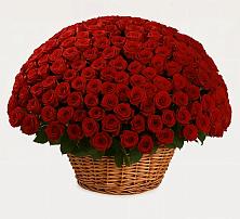 Премиум букет из: Розы в Суворове