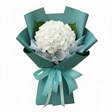 Букет цветов из:  Гортензия в Суворове